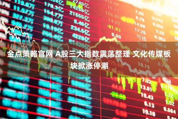 金点策略官网 A股三大指数震荡整理 文化传媒板块掀涨停潮