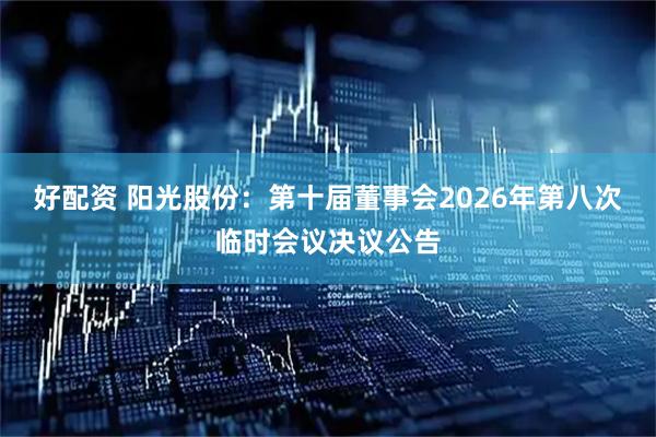 好配资 阳光股份：第十届董事会2026年第八次临时会议决议公告